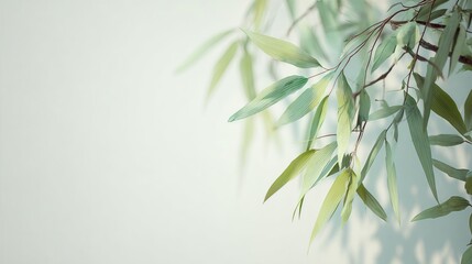 Fototapeta premium Green Foliage Decoration Photography for Interior Design, Home Decoration, and Creativity-related Visual Materials