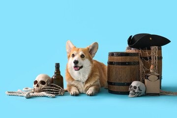 Cute Corgi dog with pirate hat and Halloween decorations lying on blue background