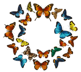 Vibrant Colorful Butterfly Wreath; Springtime Nature Design;Transparent background;  Floral Illustration;  Circular Frame;  Greeting Card;  Wedding Invitation;  Botanical Artwork.