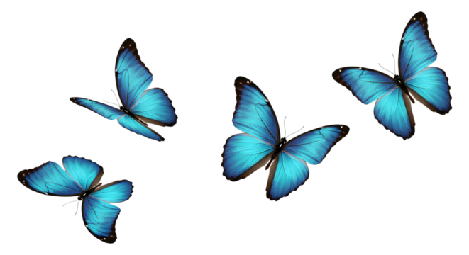 Four Vibrant Blue Morpho Butterflies in Flight, transparent background, Serene and Elegant Stock Image