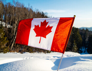 Waving Canadian flag with a red maple leaf on a pole, a national symbol of patriotism against a winter sky