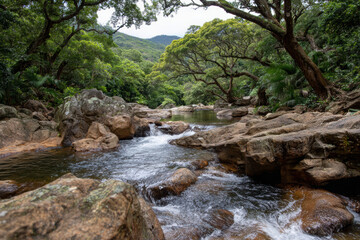 Mountain stream flowing through rocky terrain and lush vegetation