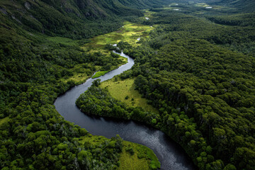 Winding river flows through lush green forest landscape