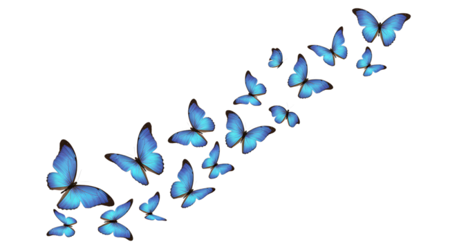 Vibrant Blue Morpho Butterflies in Flight, Abstract transparent background, Serene and Elegant Design, Nature Inspired Artwork. - Powered by Adobe