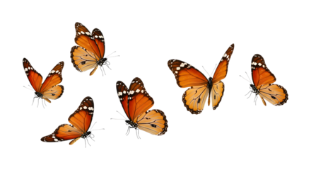 Five vibrant monarch butterflies in flight, abstract transparent background, dynamic, freedom concept.