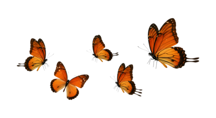 Four Orange Monarch Butterflies in Flight, Abstract transparent background, Serene Nature Scene, Digital Art.