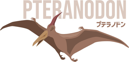シンプルな飛んでいるプテラノドン（恐竜）のイメージイラスト。名前入り © kintomo
