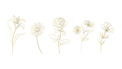 Golden Floral Outlines Set Elegant Flower Illustrations for Invitations and Decorations Design