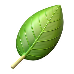 3D Realistic Tree Leaf Illustration with Transparent Background – Front View – High Detail Nature PNG