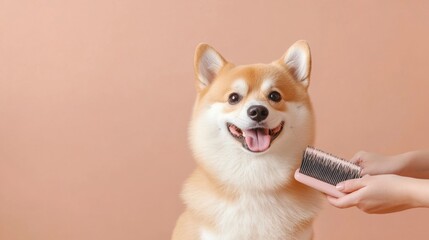 Grooming session with happy dog and woman using brush and trimmer, warm brown background