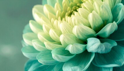 Aesthetic Elegant Floral Backgrounds Collection &ndash; Minimalist, Classy & Timeless Designs for Creative Projects.Ideal for branding, social media,packaging, wedding invitations, websites,and digital art.