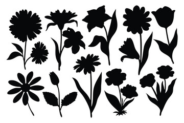  Birth month flowers silhouettes set isolated flat vector illustration on white background