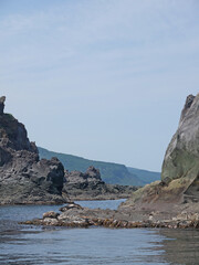 Kuril Seal or Phoca vitulina stejnegeri on Iturup Island rocky shore
