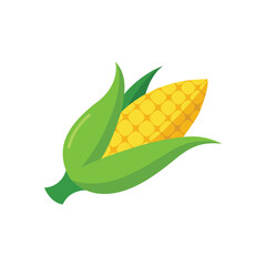  Corn flat vector illustration on white background