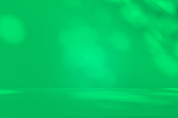 Wall interior background, studio and backdrops show products. with leaf shadow leaf from window color green and white. background for text insertion and presentation of product	