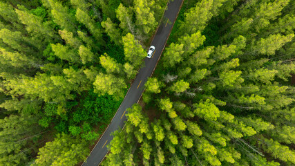 Aerial view of dark green forest road and white electric car Natural landscape and elevated roads Adventure travel and transportation and environmental protection concept	
