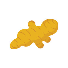 Ginger root flat vector illustration on white background