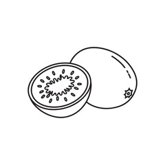  Kiwi Fruit line art flat vector illustration