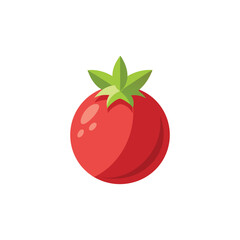  Pomegranate flat vector illustration on white background