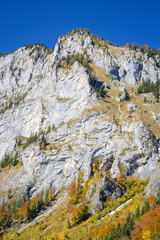 View of a rock in autumn, Austria