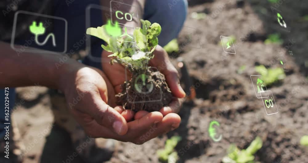Poster gardener kneeling in field lifting seedling and causing floating eco-data icons tracking health