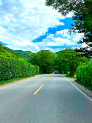 Paisaje de carretera y árboles verdes a la orilla.
