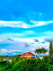 Paisaje de casa en la colina verde.