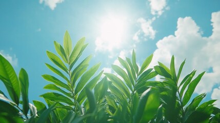 Green Leaves Against a Bright Blue Sky with Clouds