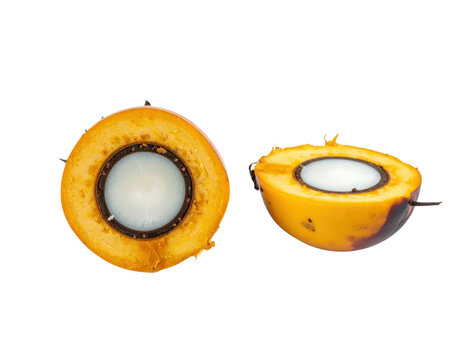 Fresh cut palm fruit halves revealing white coconut meat and brown shell in cross-section view