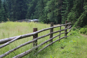 Simple Wooden Fence with Forest Background