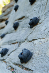 Close-up of climbing holds attached to a concrete wall, providing a challenging and engaging activity for climbers