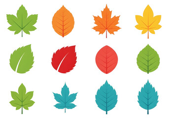 A vibrant collection of diverse autumn and fall leaves in various colors and shapes. Perfect as vector icons or design elements for nature-themed projects, illustrating seasons or foliage.