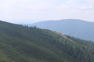 Panoramic View of Carpathian Mountain Peaks and Slopes Fading into the Horizon