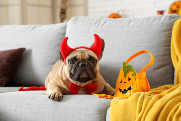 Cute French bulldog in devil horns with Halloween pumpkin bag and candies lying on sofa at home