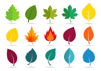 Obraz premium A vibrant collection of colorful leaves in various shapes and hues, perfect for nature, autumn, or seasonal designs. Vector illustration set.