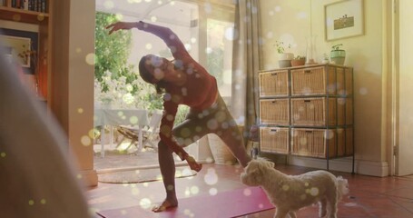 Woman entering home fitness feeling side stretch with dumbbell, sparkles, dog sniffing balancing