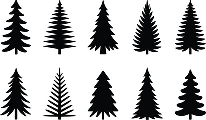 Obraz premium Diverse evergreen tree silhouettes evergreen trees