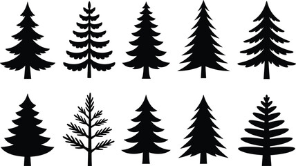 Fototapeta premium Evergreen trees forest collection pine trees fir trees