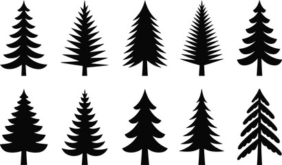 Obraz premium Black evergreen tree silhouettes evergreen trees coniferous trees