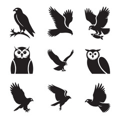 Collection of Black and White Eagle and Owl Silhouettes Depicting Flight and Wisdom Symbols