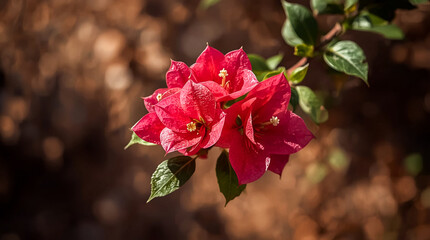 Vibrant pink rose bloom with delicate petals and green leaves against a softly blurred natural background
