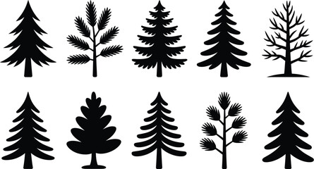 Naklejka premium Evergreen pine fir spruce trees vector