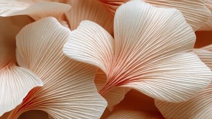 Exquisite closeup of delicate white flowers, a stunning display of natural beauty.