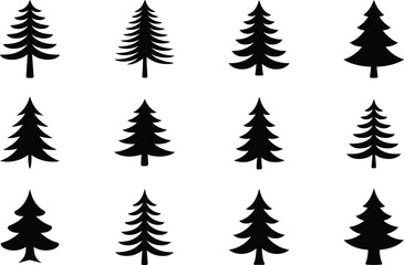 Obraz premium Evergreen trees silhouettes black white