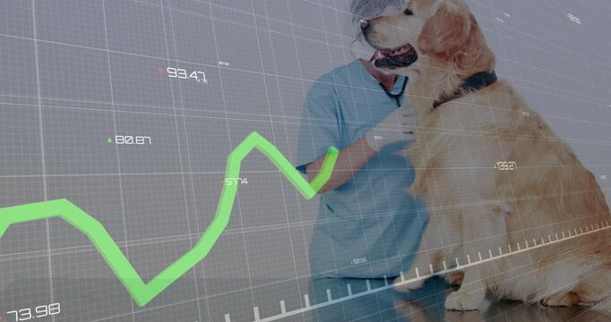 Vet hugging dog and placing stethoscope, checking vital signs with digital grid and green graph