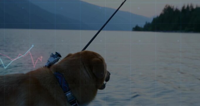 Once yawning, medium-brown dog panting on drifting boat, watching fishing rod against dusky lake