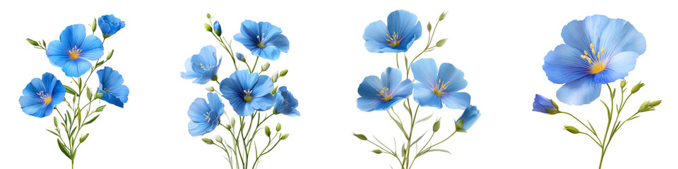Set of Flax flower isolated on transparent background.
