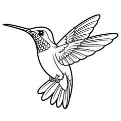 Obraz premium vector illustration of a hummingbird coloring page