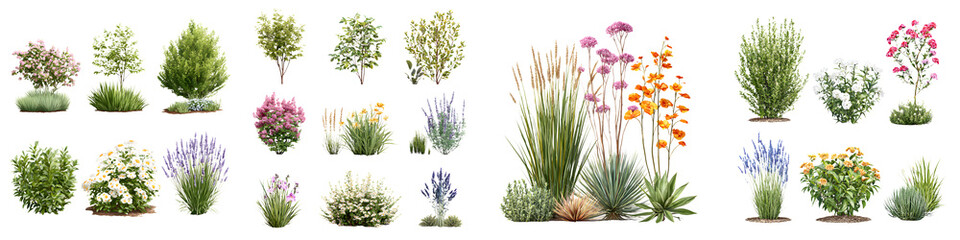 Garden Plants Collection: Diverse Shrubs and Bushes Illustrations on White