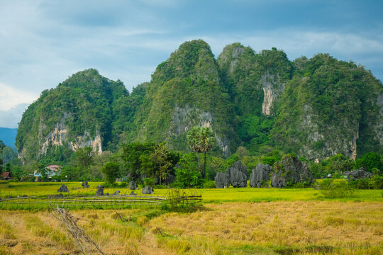 Landscape rice fields mountains nature scenic travel asia Indonesia, makassar tourism